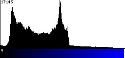 Blue Histogram