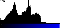 Blue Histogram