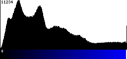 Blue Histogram