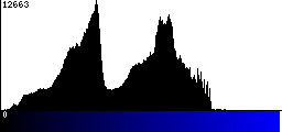 Blue Histogram