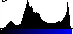 Blue Histogram