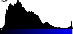 Blue Histogram