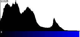 Blue Histogram