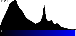 Blue Histogram