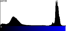 Blue Histogram