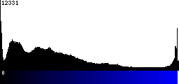 Blue Histogram