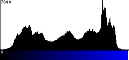 Blue Histogram