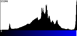 Blue Histogram