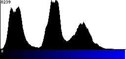 Blue Histogram