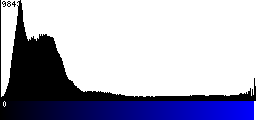 Blue Histogram