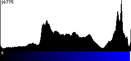 Blue Histogram