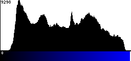 Blue Histogram