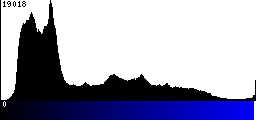 Blue Histogram