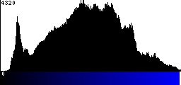 Blue Histogram