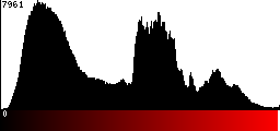 Red Histogram