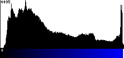 Blue Histogram