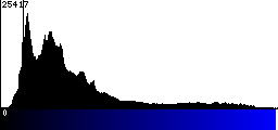 Blue Histogram