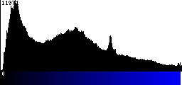 Blue Histogram