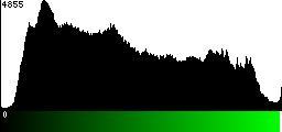 Green Histogram