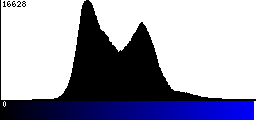 Blue Histogram