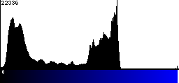 Blue Histogram