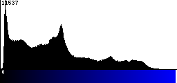 Blue Histogram