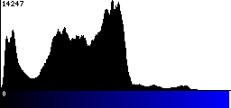 Blue Histogram