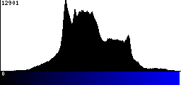 Blue Histogram