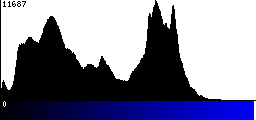 Blue Histogram