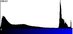 Blue Histogram