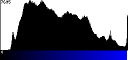 Blue Histogram