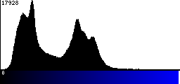 Blue Histogram