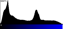 Blue Histogram