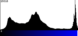 Blue Histogram