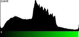 Green Histogram