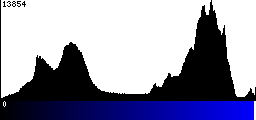 Blue Histogram