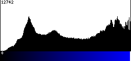 Blue Histogram