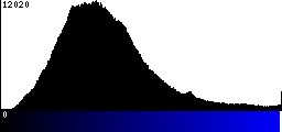 Blue Histogram