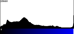 Blue Histogram