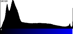 Blue Histogram