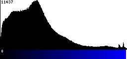 Blue Histogram