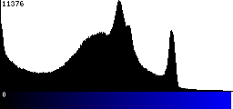 Blue Histogram