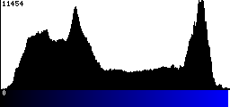 Blue Histogram