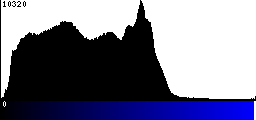 Blue Histogram