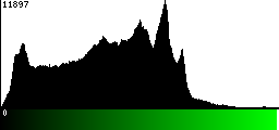 Green Histogram