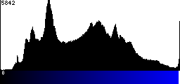 Blue Histogram