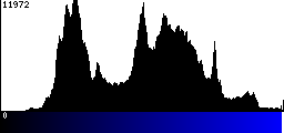 Blue Histogram