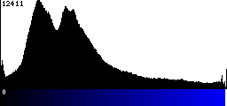 Blue Histogram