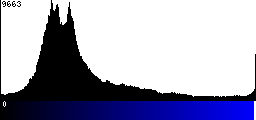 Blue Histogram