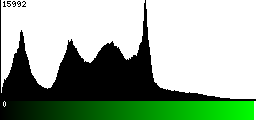 Green Histogram